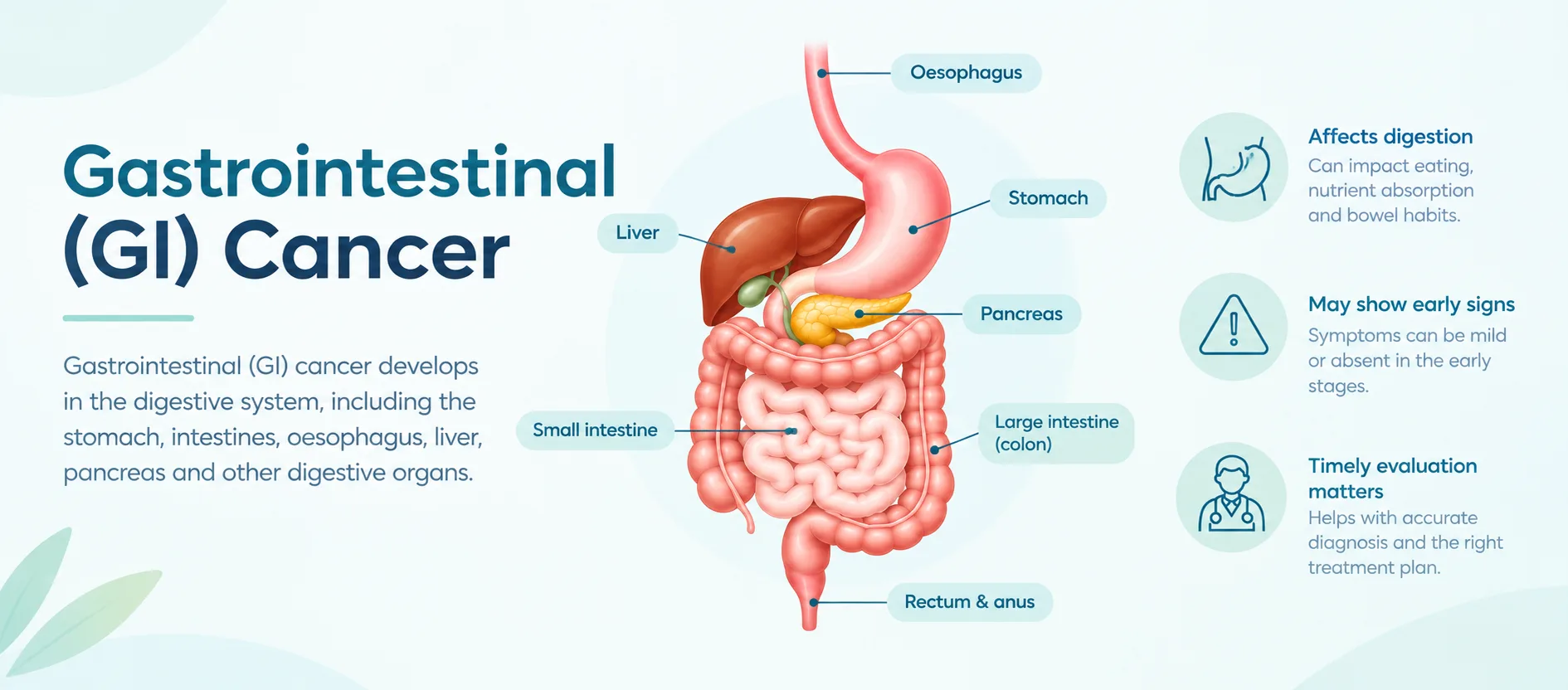 Labelled diagram of the digestive system explained by Dr. Pushpinder Gulia, showing the oesophagus, stomach, liver, pancreas, small intestine, large intestine (colon), and rectum and anus, where gastrointestinal cancer can develop